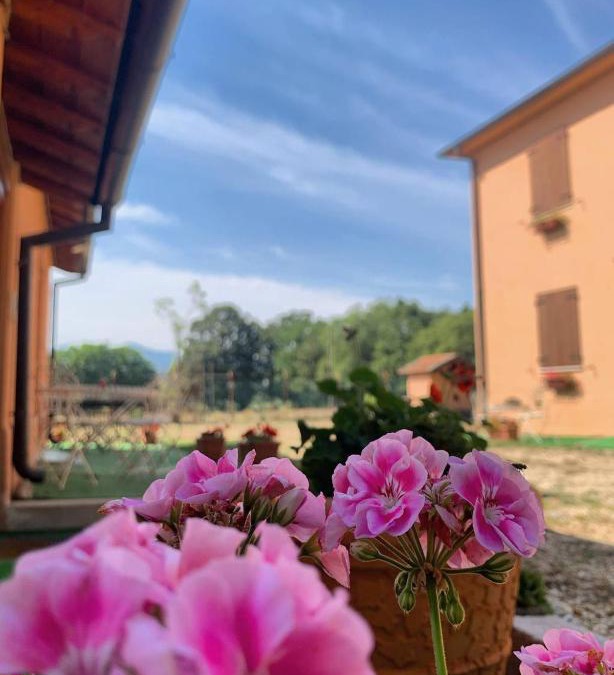 Poggio Bustone House | La Cascina della Vachina