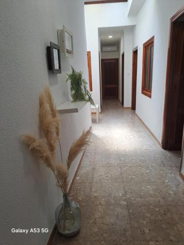 Herencia House | La casilla