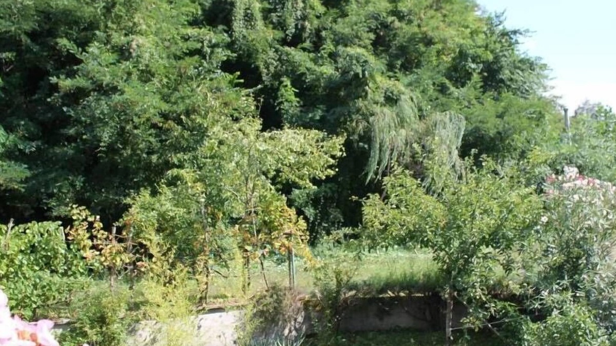 Lagonegro House | La Casina Rossa