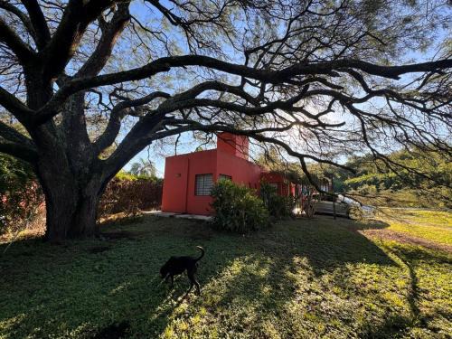 Villa Allende House | La casita anaranjá