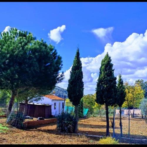 Guadalcanal House | La casita del Abuelo