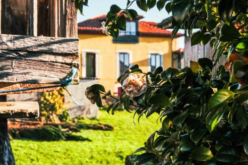 El Manto Hotel | La Casona de Faedo Pensión