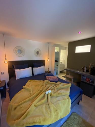 Seguret Bed & Breakfast | La chambre d'hôte de la fontaine de Jonquier Jacuzzi privatif