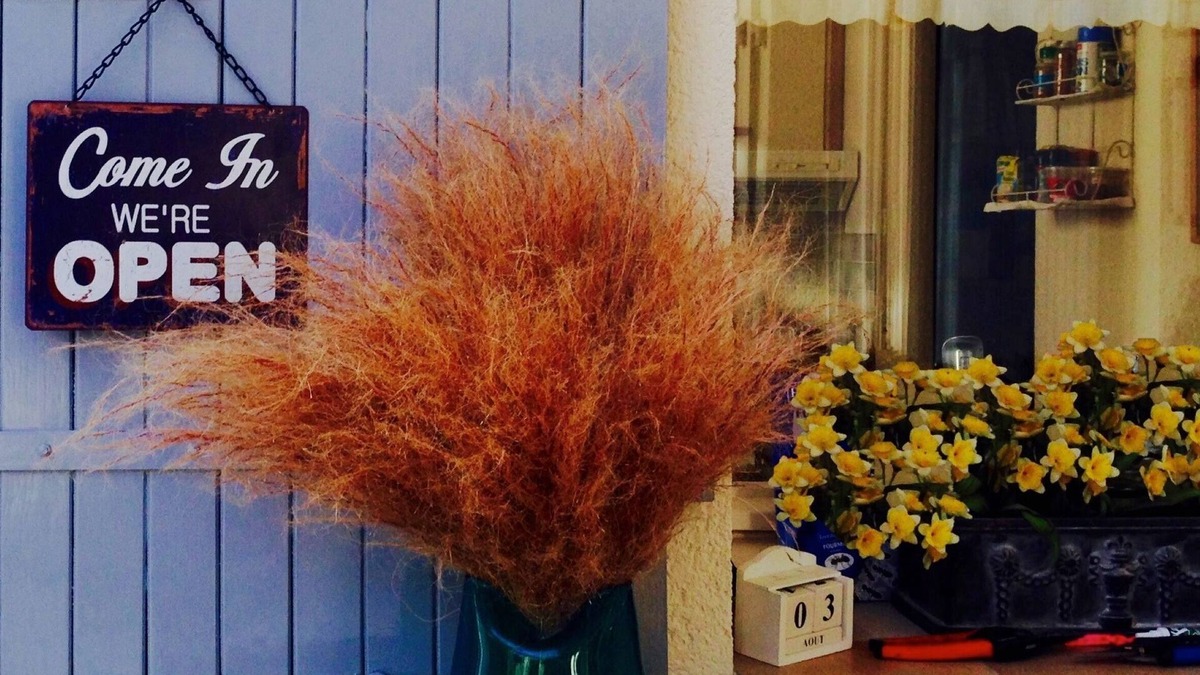 Saint-Georges-d'Oleron House | La Cigale Maid, family house, 700m from the beach Chaucre.