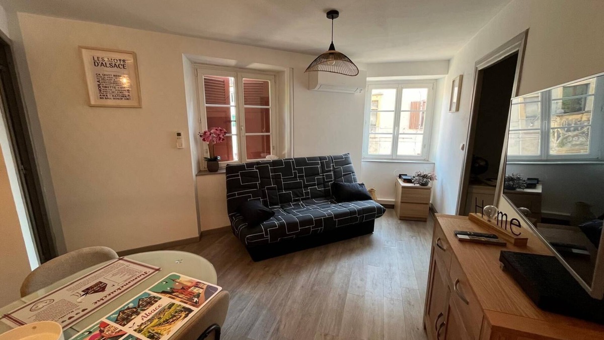Ensisheim Apartment | La cigogne rêveuse 2 - F2 air-conditioned