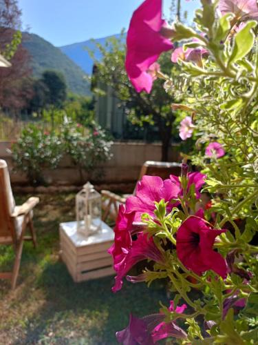 Nave Apartment | La Civetta appartamento con giardino e parcheggio
