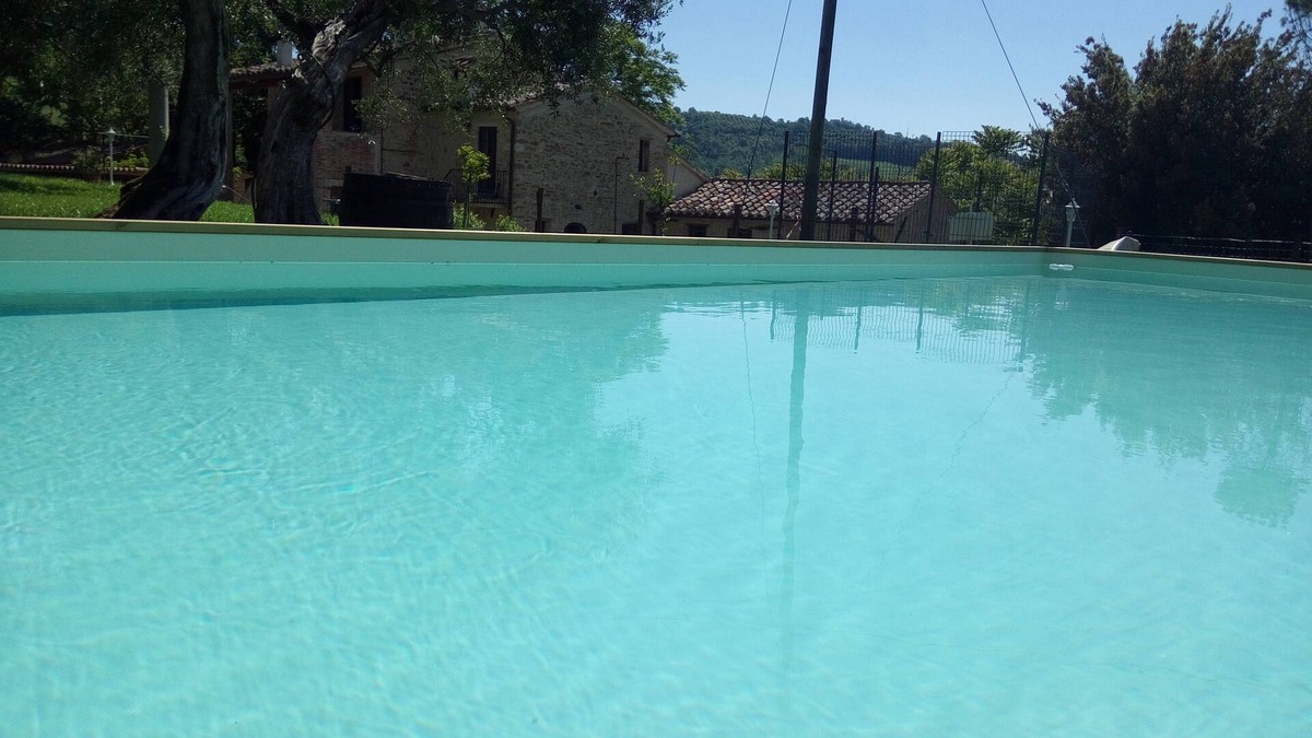 Montelovesco Apartment | La Collina degli Ulivi (Short Lets/Summer Rentals): Cotoneaster Apartment