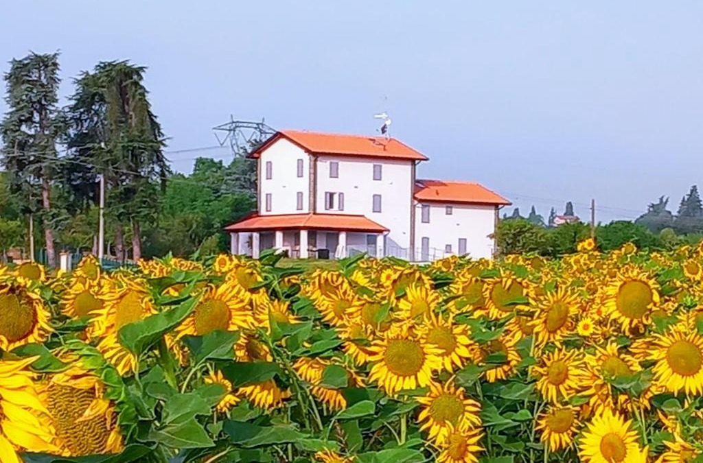 Crespellano Bed & Breakfast | La collinetta B&B