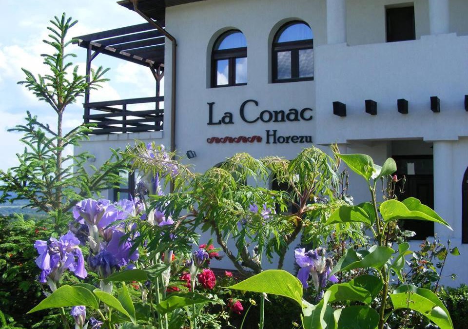 Horezu House | La Conac