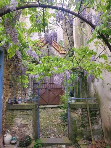 Conques-sur-Orbiel House | La Concha 1