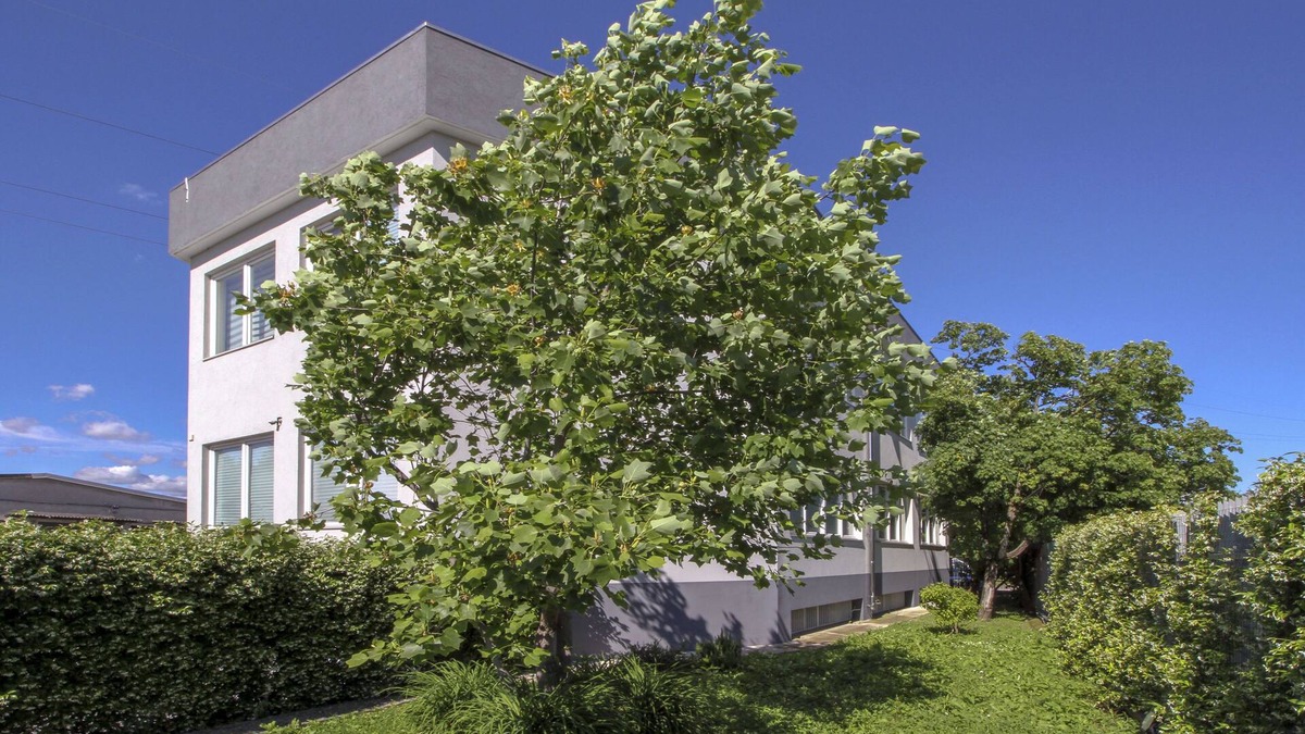 Cinisello Balsamo Hotel | La Cordata Accommodation - Woodhouse Bike Hotel