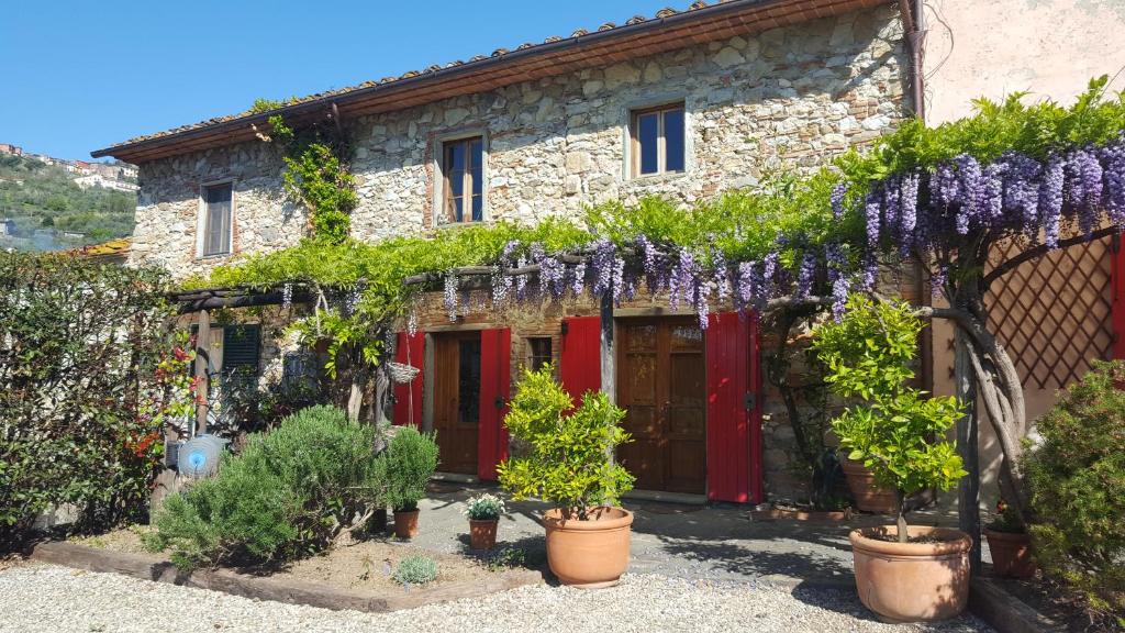 Pieve a Nievole House | La Corte del Falco