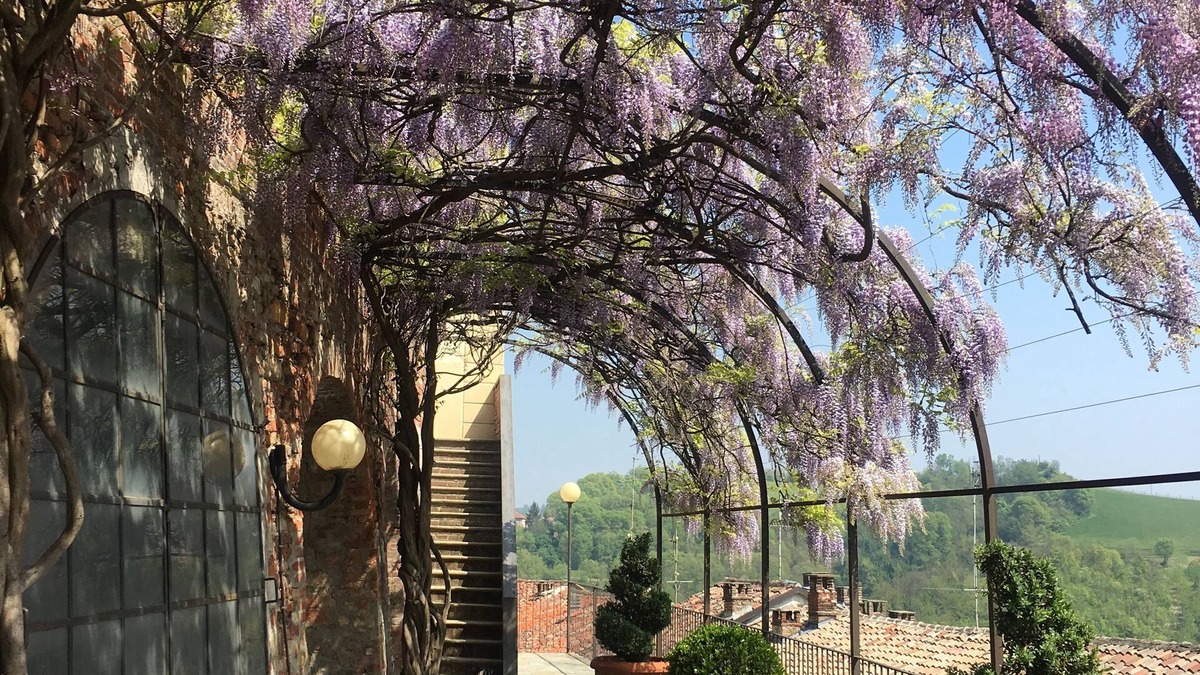 Ozzano Monferrato Bed & Breakfast | La Corte delle 4 Stagioni