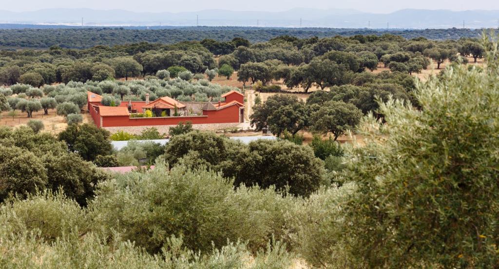 Navalcan House | La Costanilla de los Angeles