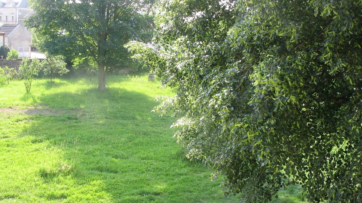 Heuilley-sur-Saone Bed & Breakfast | La Coutrotte Becquine