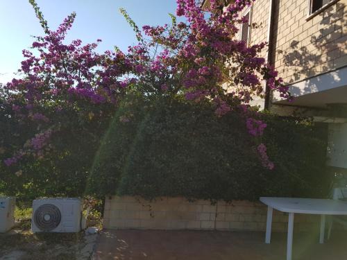 Bucchianico Apartment | La Culla del Conte