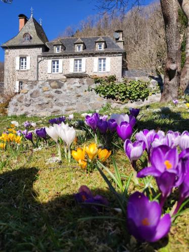 Saint-Chamant Bed & Breakfast | La Demeure de Cyr