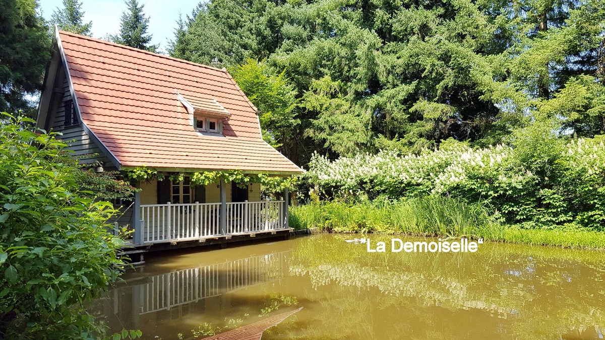 Strueth Ski Chalet | "La Demoiselle" self catering in a private park comfortable for 2 persons