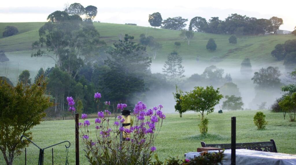 Beechmont Bed & Breakfast | La Dolce Vita
