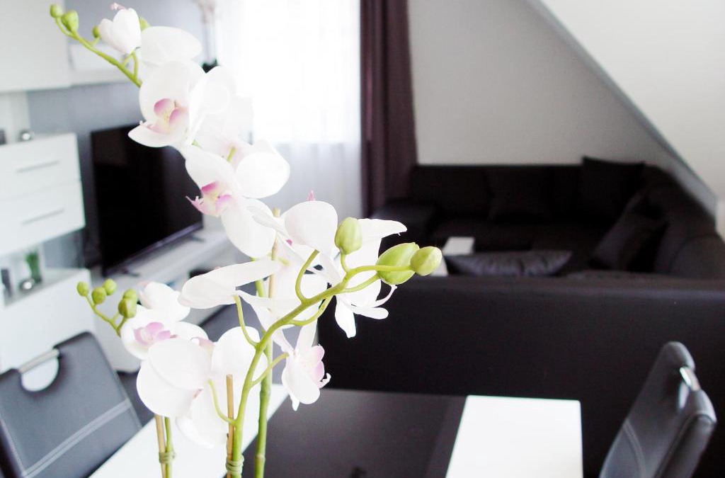 Lotte Apartment | La Domus Premium Osnabrück Lotte