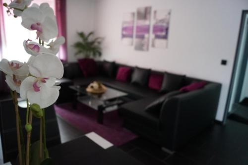Lotte Apartment | La Domus Superior Osnabrück Lotte