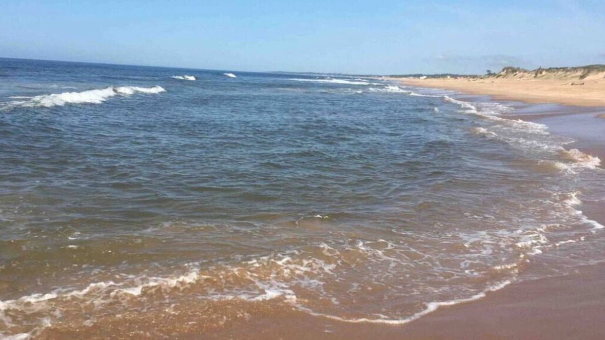 Ocean Park House | La Escondida- Amarilla- Cozy two-bedroom house- 20 mins drive from Pta del Este