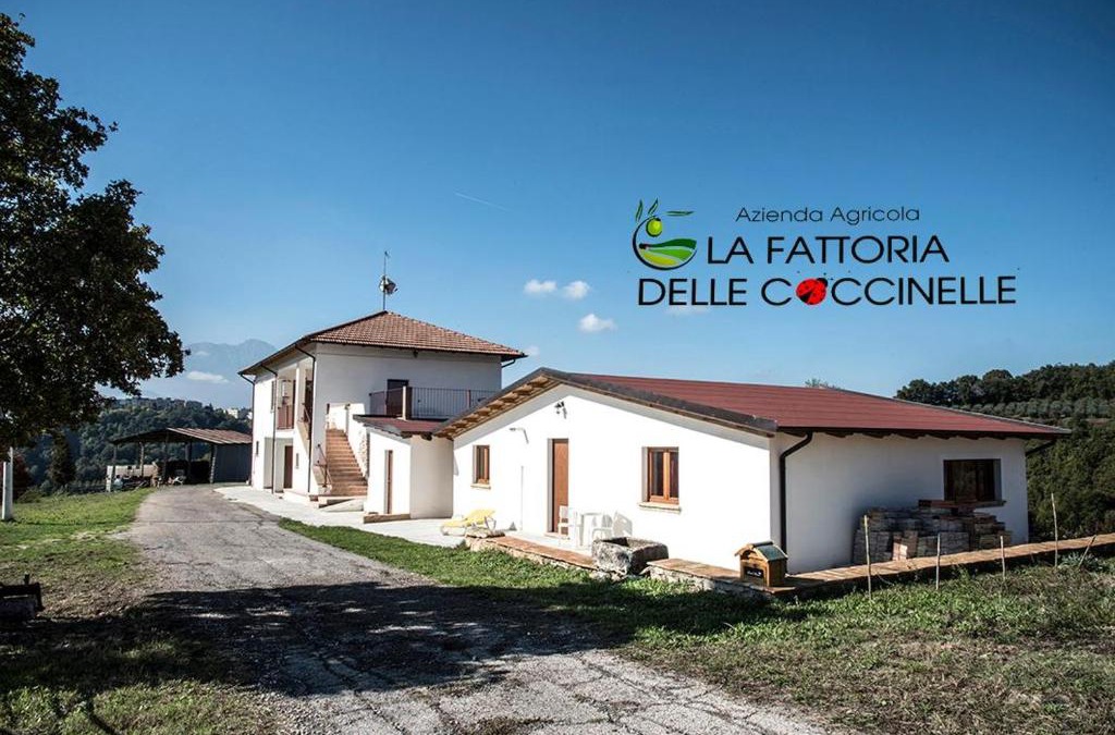 Marciano House | La Fattoria delle Coccinelle