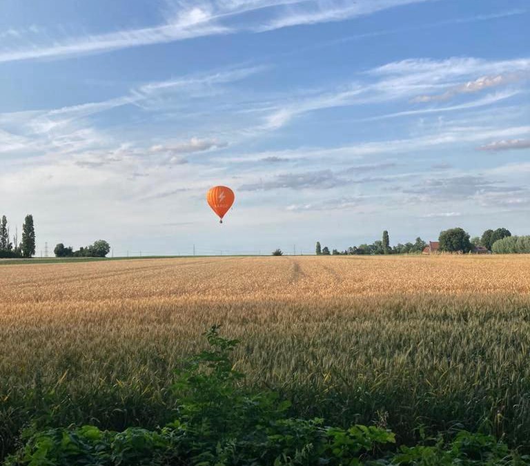 Willems Bed & Breakfast | La Ferme 1851 - Cabane Spa Nordique privé vue sur champ