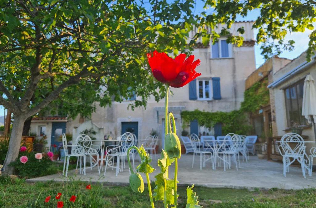 Fayence House | La Ferme Constantin