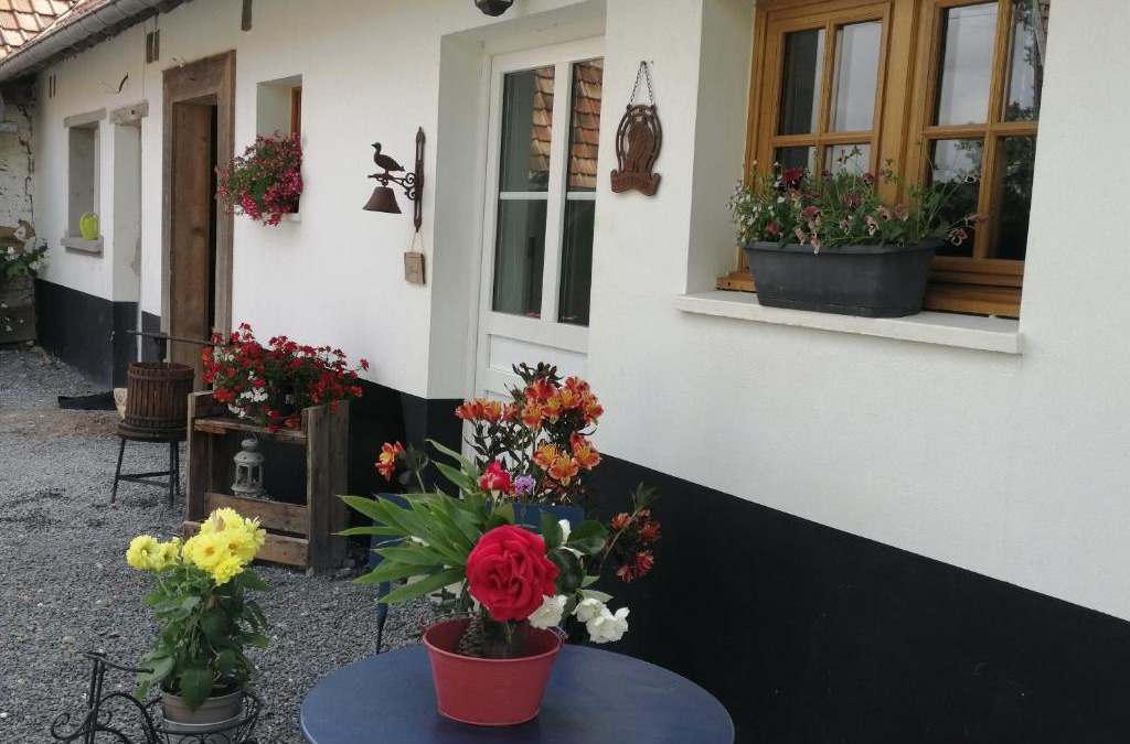 Arrest House | La ferme de Mademoiselle Jeanne
