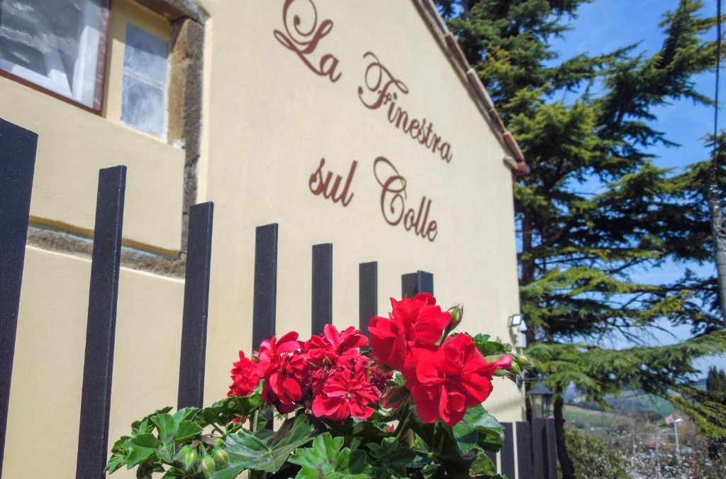 Collesalvetti Bed & Breakfast | La Finestra sul Colle