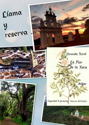 Alajar House | La Flor De La Xara