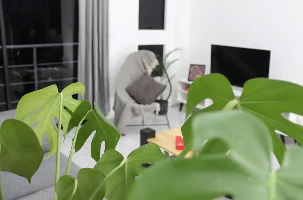 Desamparados Apartment | La Güaria B&B