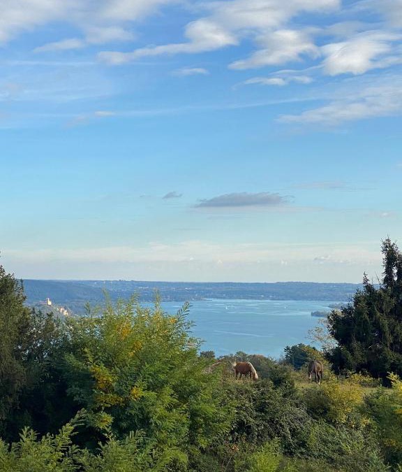Nebbiuno Apartment | La Garçonniérre del Lago Maggiore