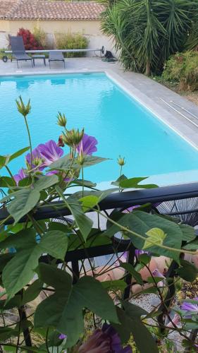 Bellegarde Bed & Breakfast | La Gouillette en Camargue