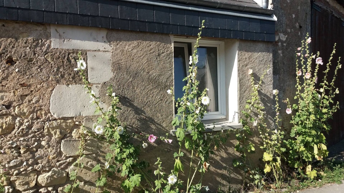 Amboise House | La Grange de la Bigonnerie 2 km from the center of Amboise