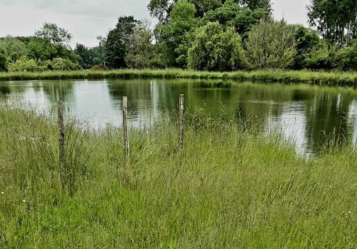 Saint-Colomb-de-Lauzun House | La Graule Farmhouse Self Contained Appartment