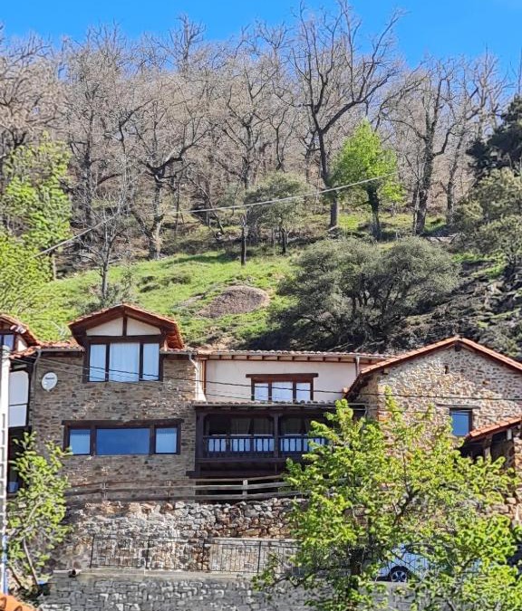 Bores House | La Indefinida