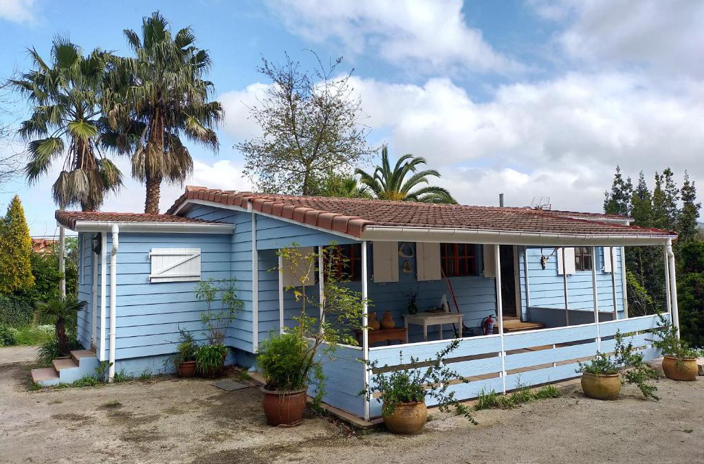 Arce House | La isla de las sirenas