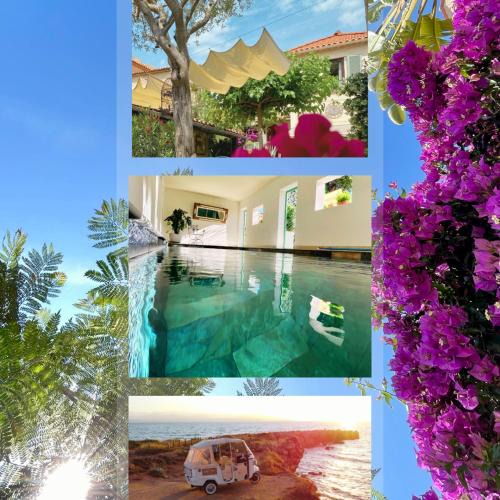 Cap-d'Antibes Hotel | La Jabotte