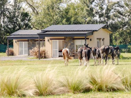 Rosario de Lerma Cabin | La Joaquina
