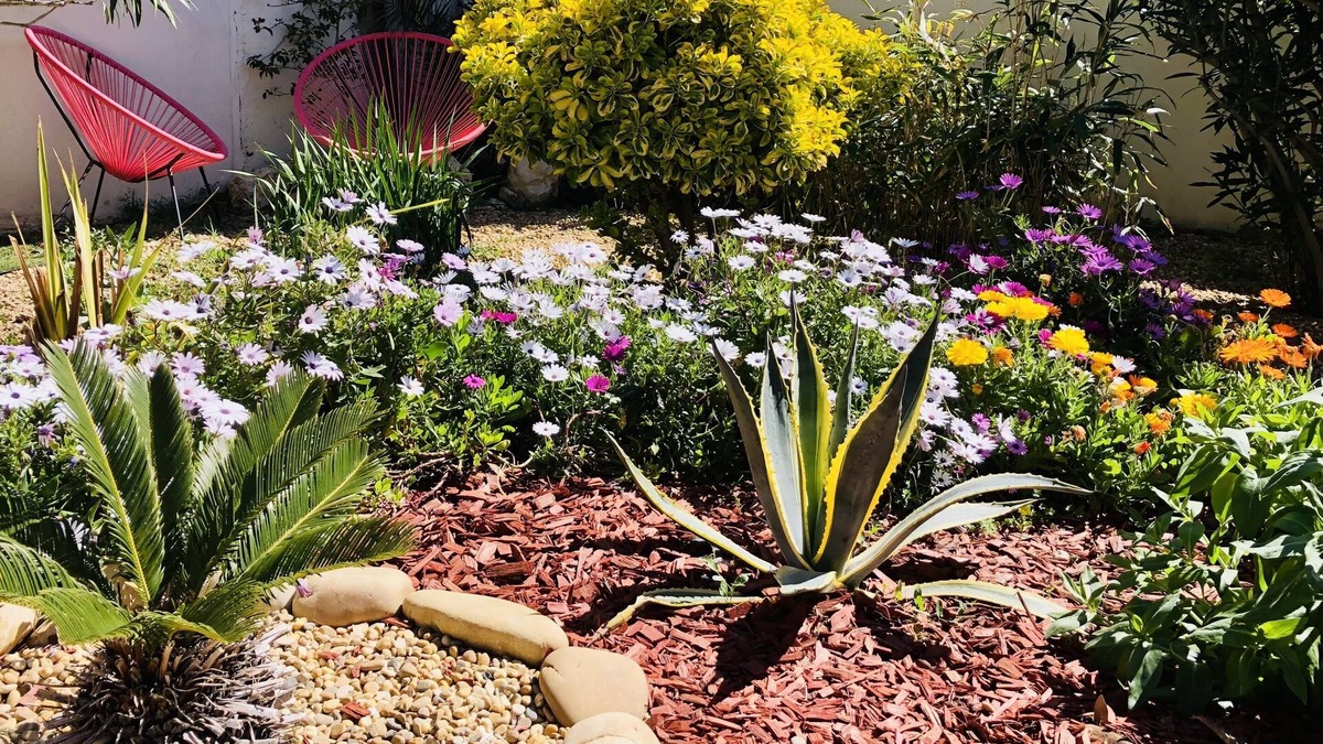 Bages Bed & Breakfast | La Lagune