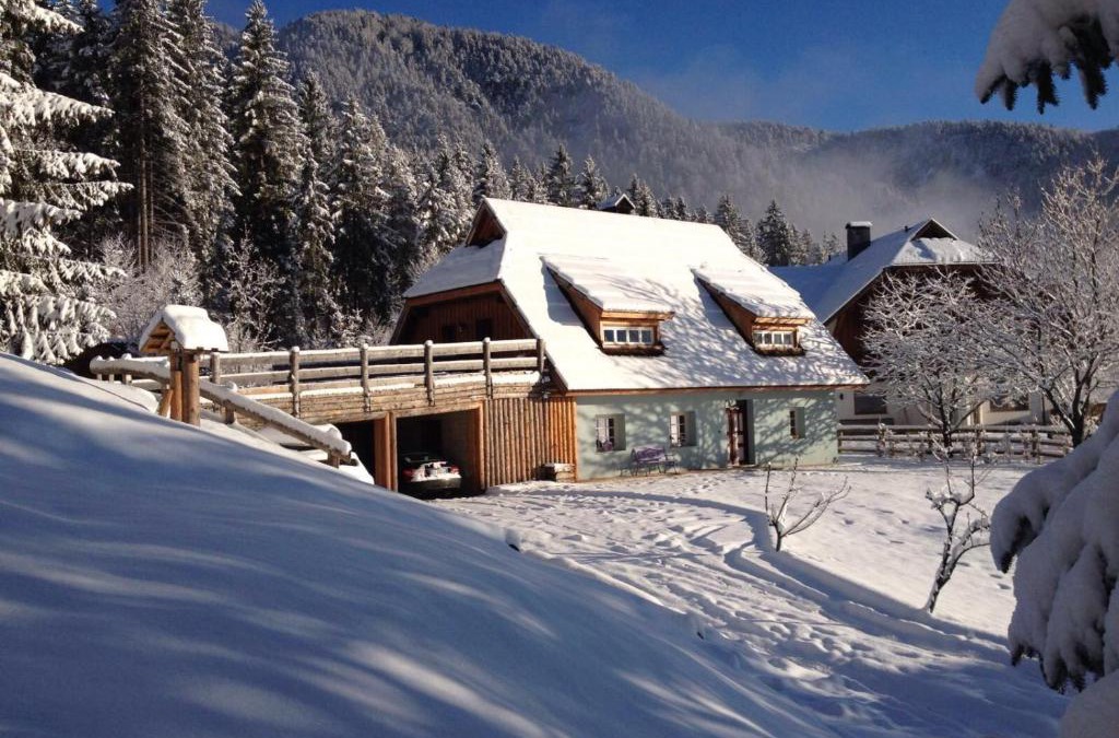 Camporosso in Valcanale Ski Chalet | La Lince Lodge