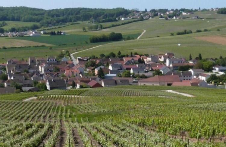 Vinay Apartment | La Longère de Vin'Ay