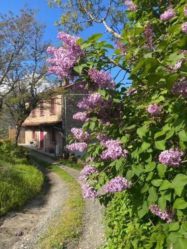 Berceto Bed & Breakfast | La Lupa e l'Orso