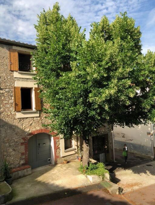 Tautavel House | La Maison au Tilleul