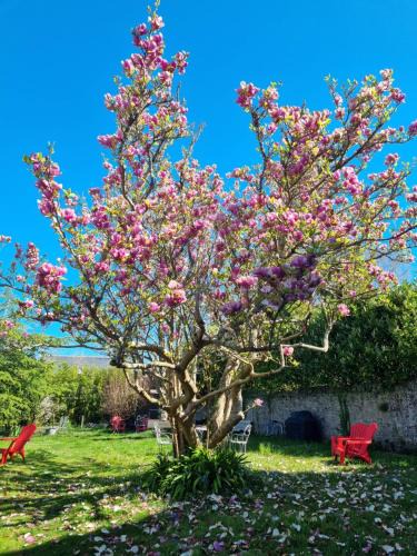Guerande Bed & Breakfast | La Maison Bizienne Guérande - Chambres d'hôtes de charme