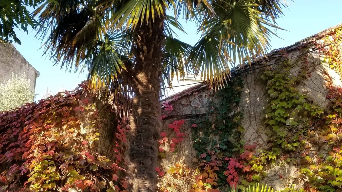 Blaye Bed & Breakfast | La Maison Blanche