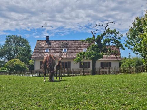 Saint-Riquier House | La maison de Jean