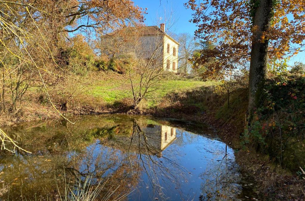 Mirande Bed & Breakfast | la maison de Manon